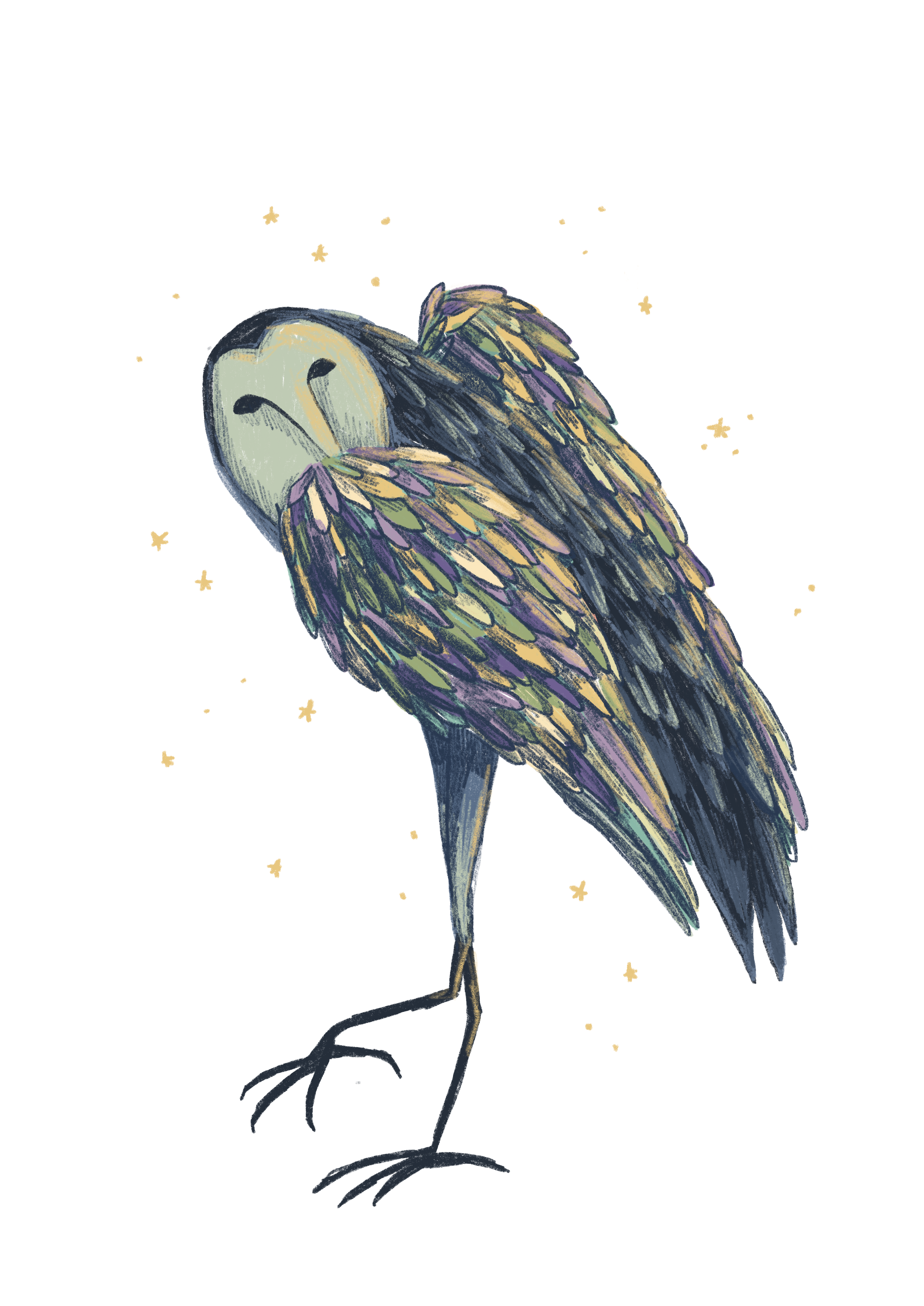 El pájaro de la muerte (il. Victoria Inglés)