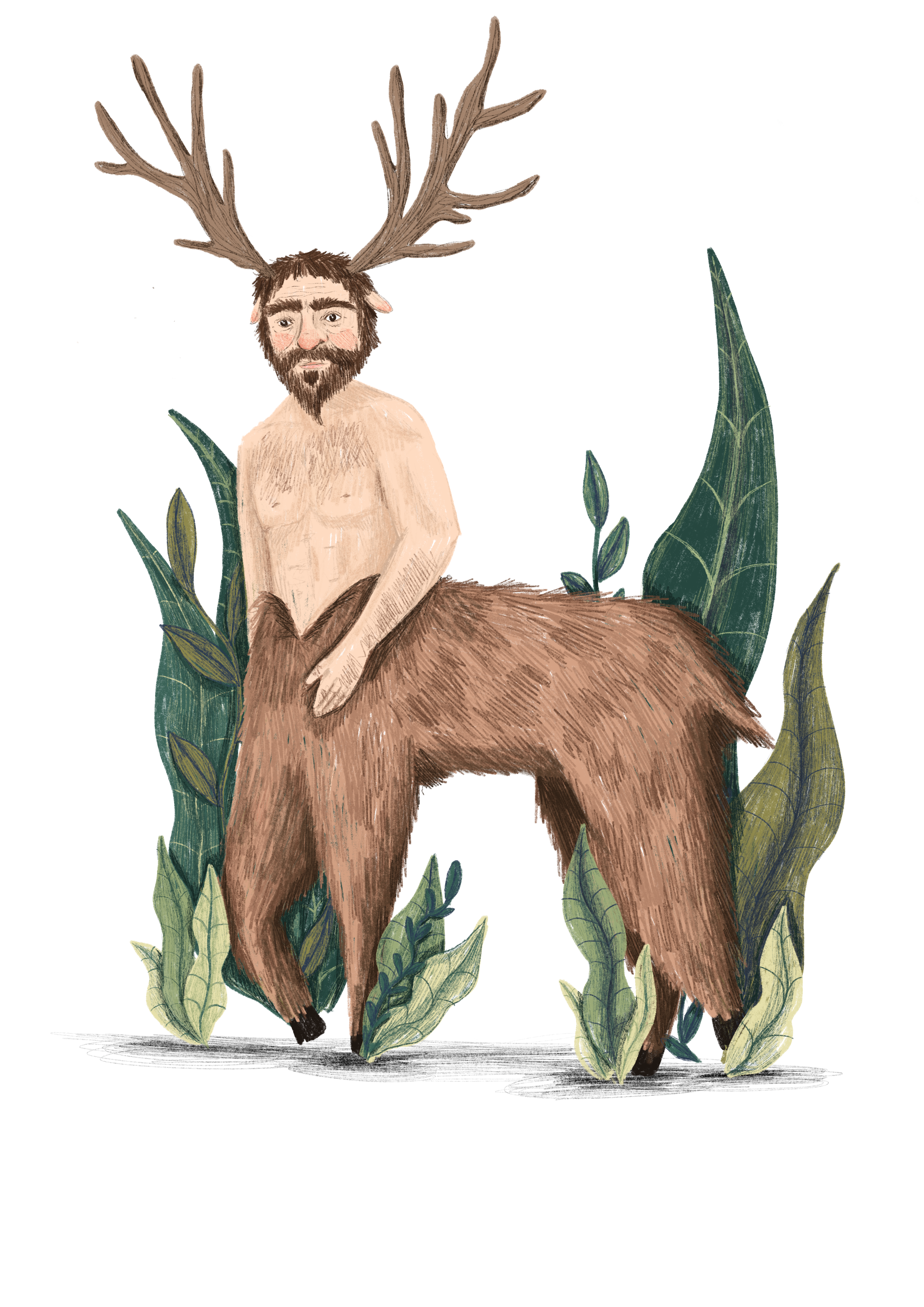 Perote (il. Victoria Inglés) Perote (il. Victoria Inglés)